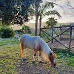 Casale Rocca Russa Bed & Breakfast